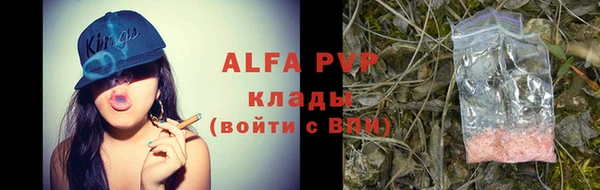 стафф Бородино