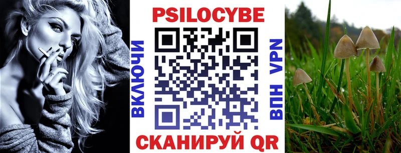 мега tor  Белёв  Галлюциногенные грибы мицелий 